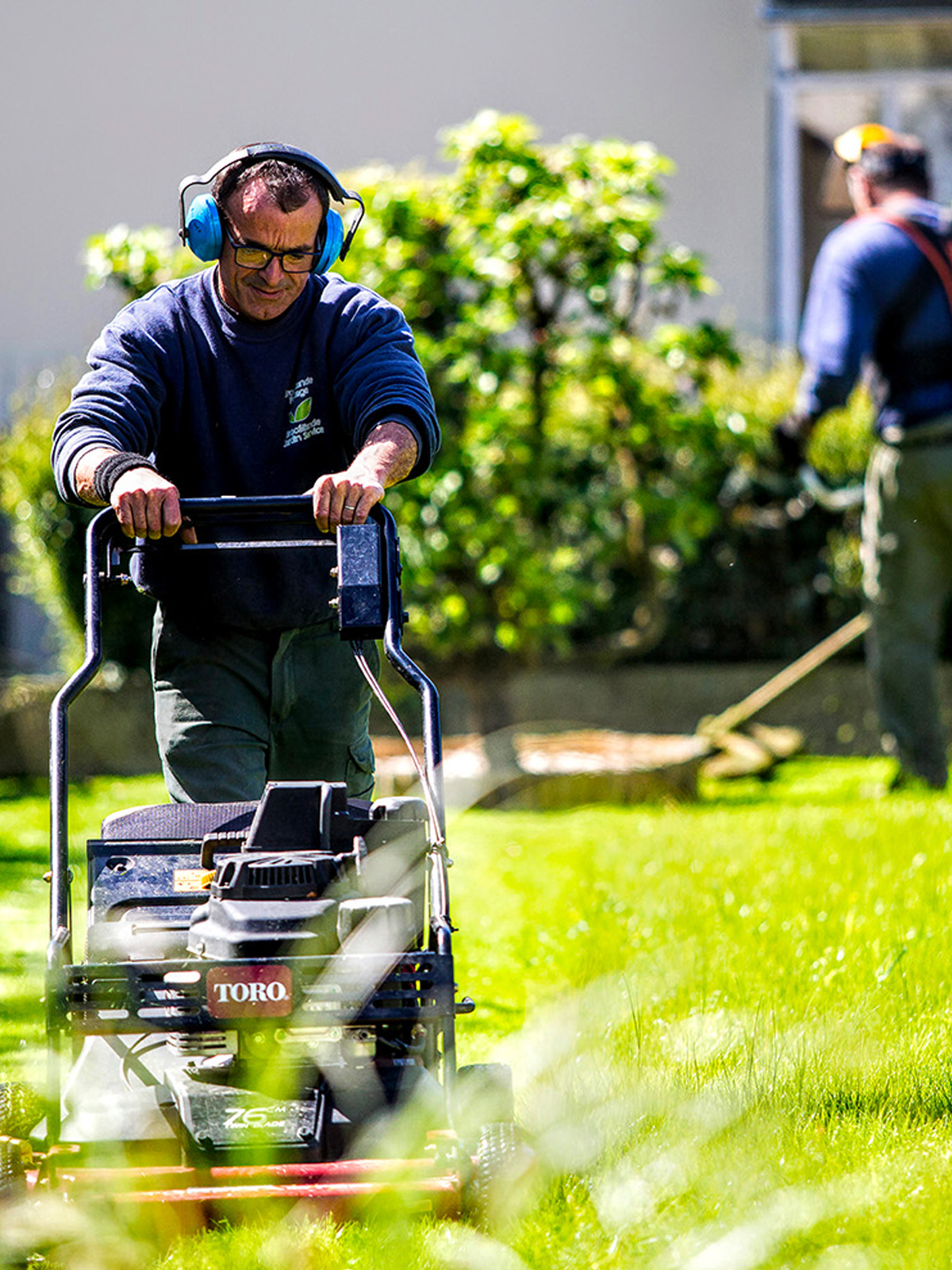 paysagiste-tonte-de-pelouse Paysagiste tonte de pelouse